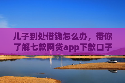 儿子到处借钱怎么办，带你了解七款网贷app下款口子