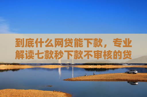 到底什么网贷能下款，专业解读七款秒下款不审核的贷款口子