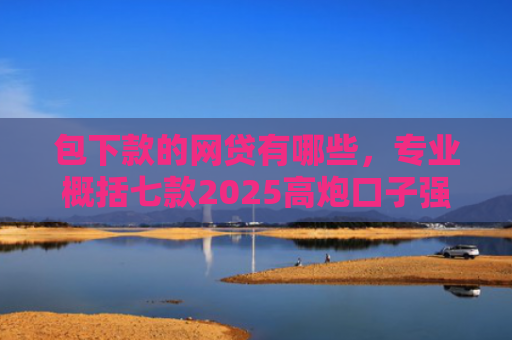 包下款的网贷有哪些，专业概括七款2025高炮口子强制下款网贷