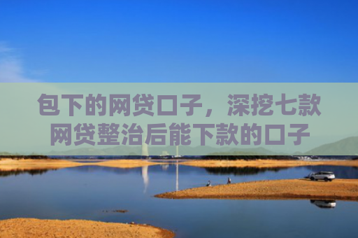 包下的网贷口子，深挖七款网贷整治后能下款的口子