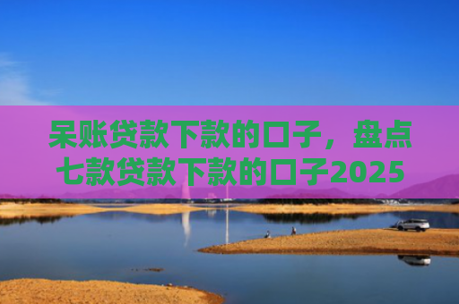 呆账贷款下款的口子，盘点七款贷款下款的口子2025