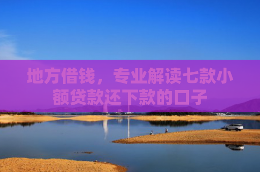 地方借钱，专业解读七款小额贷款还下款的口子