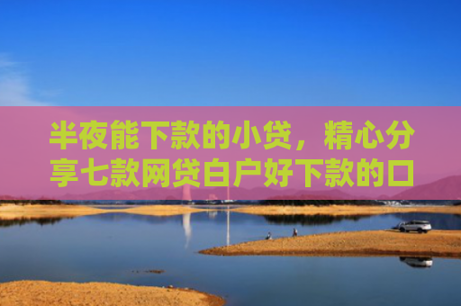 半夜能下款的小贷，精心分享七款网贷白户好下款的口子