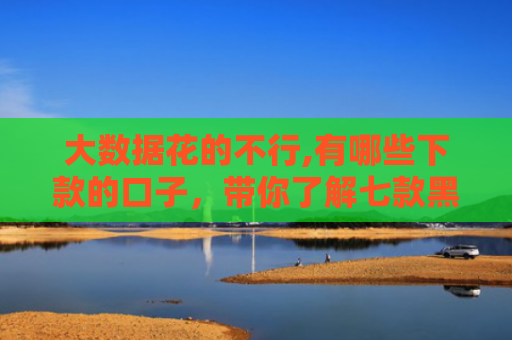 大数据花的不行,有哪些下款的口子，带你了解七款黑户贷款下款口子
