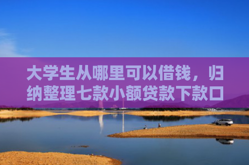 大学生从哪里可以借钱，归纳整理七款小额贷款下款口子