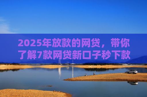 2025年放款的网贷，带你了解7款网贷新口子秒下款