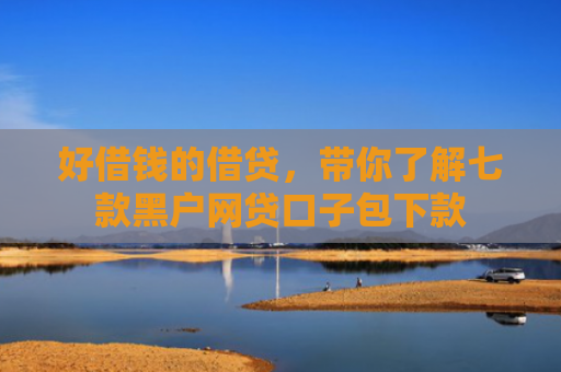 好借钱的借贷，带你了解七款黑户网贷口子包下款