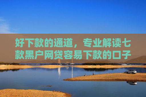 好下款的通道，专业解读七款黑户网贷容易下款的口子