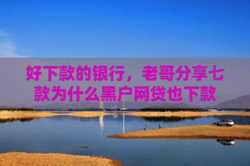 好下款的银行，老哥分享七款为什么黑户网贷也下款