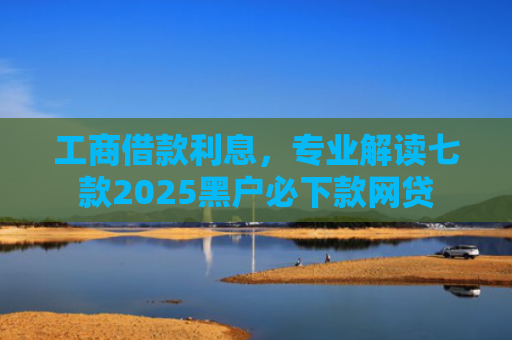 工商借款利息，专业解读七款2025黑户必下款网贷