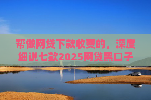 帮做网贷下款收费的，深度细说七款2025网贷黑口子秒下款app