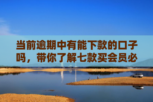 当前逾期中有能下款的口子吗，带你了解七款买会员必下款的贷款口子