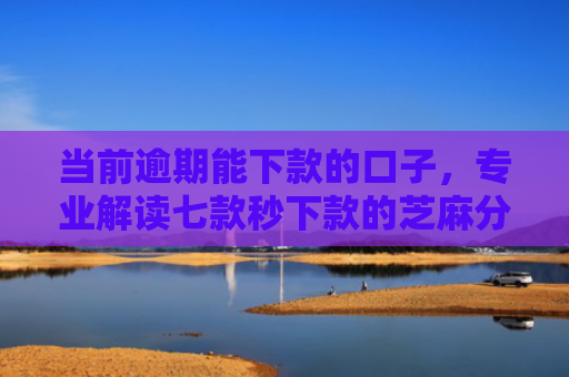 当前逾期能下款的口子，专业解读七款秒下款的芝麻分贷款口子