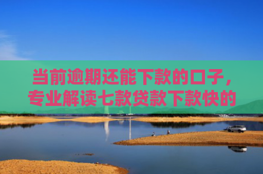 当前逾期还能下款的口子，专业解读七款贷款下款快的口子叫什么