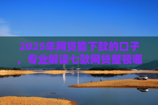 2025年网贷能下款的口子，专业解读七款网贷整顿哪些口子下款