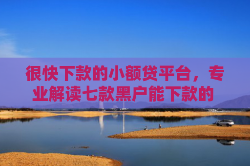 很快下款的小额贷平台，专业解读七款黑户能下款的 网贷口子