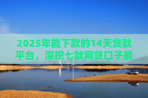 2025年能下款的14天贷款平台，深挖七款网贷口子最容易下款