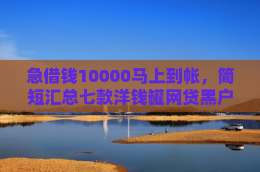 急借钱10000马上到帐，简短汇总七款洋钱罐网贷黑户能下款吗