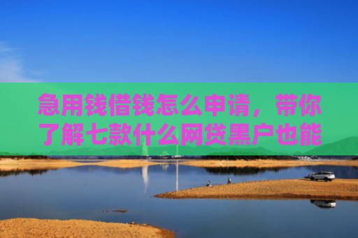 急用钱借钱怎么申请，带你了解七款什么网贷黑户也能下款啊