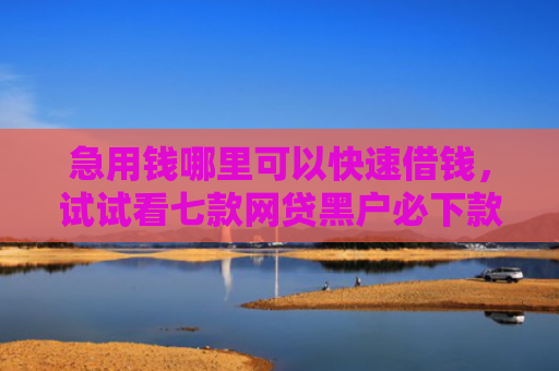 急用钱哪里可以快速借钱，试试看七款网贷黑户必下款口子贴吧