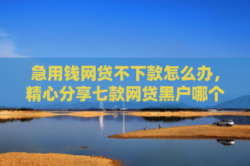 急用钱网贷不下款怎么办，精心分享七款网贷黑户哪个软件能下款