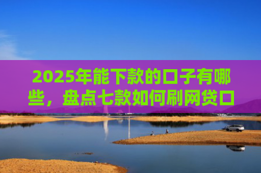 2025年能下款的口子有哪些，盘点七款如何刷网贷口子下款