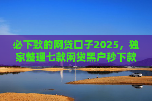 必下款的网贷口子2025，独家整理七款网贷黑户秒下款的口子6