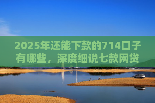 2025年还能下款的714口子有哪些，深度细说七款网贷黑户苹果下款口子