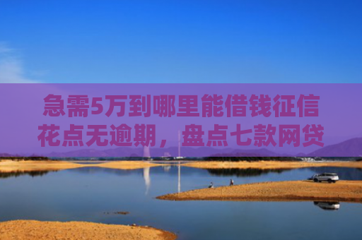 急需5万到哪里能借钱征信花点无逾期，盘点七款网贷黑户能下款是真的吗