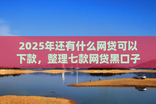 2025年还有什么网贷可以下款，整理七款网贷黑口子必下款