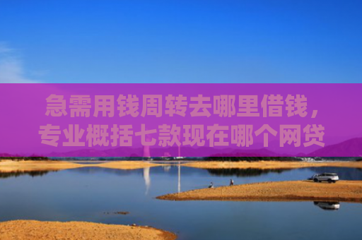 急需用钱周转去哪里借钱，专业概括七款现在哪个网贷黑户能下款