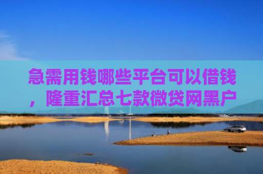 急需用钱哪些平台可以借钱，隆重汇总七款微贷网黑户可以下款吗