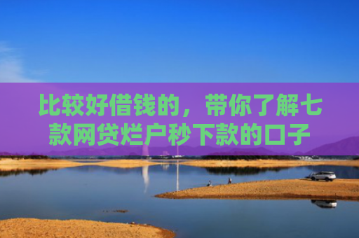 比较好借钱的，带你了解七款网贷烂户秒下款的口子
