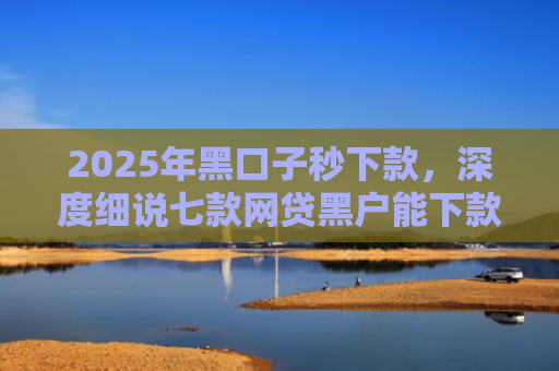 2025年黑口子秒下款，深度细说七款网贷黑户能下款口子