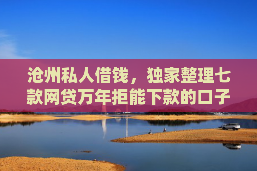 沧州私人借钱，独家整理七款网贷万年拒能下款的口子