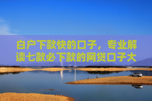 白户下款快的口子，专业解读七款必下款的网贷口子大全