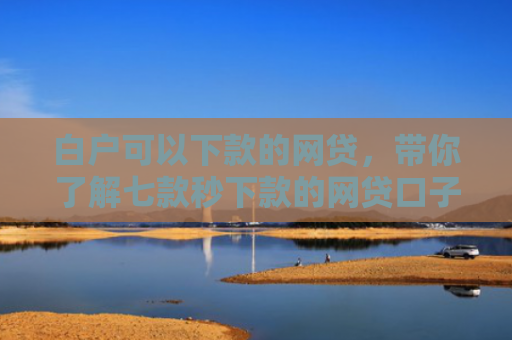 白户可以下款的网贷，带你了解七款秒下款的网贷口子分享
