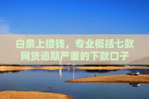 白条上借钱，专业概括七款网贷逾期严重的下款口子