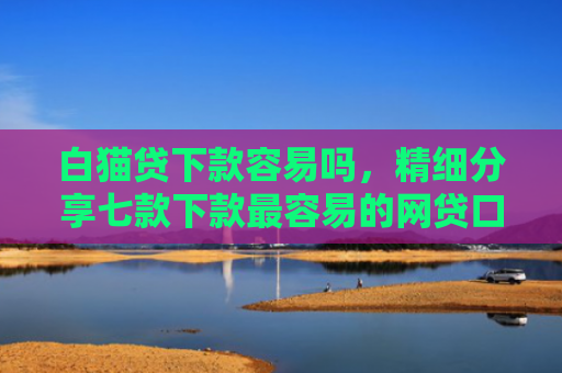 白猫贷下款容易吗，精细分享七款下款最容易的网贷口子