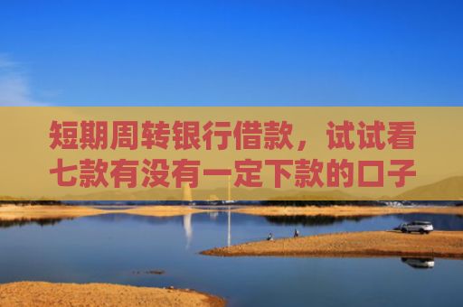 短期周转银行借款，试试看七款有没有一定下款的口子贷款