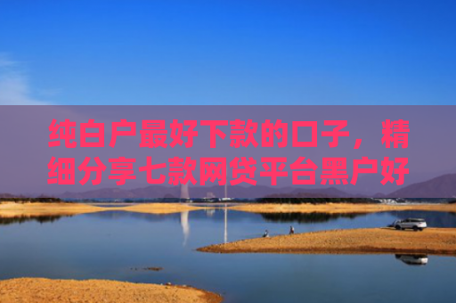 纯白户最好下款的口子，精细分享七款网贷平台黑户好下款的口子