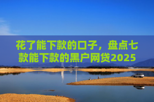花了能下款的口子，盘点七款能下款的黑户网贷2025