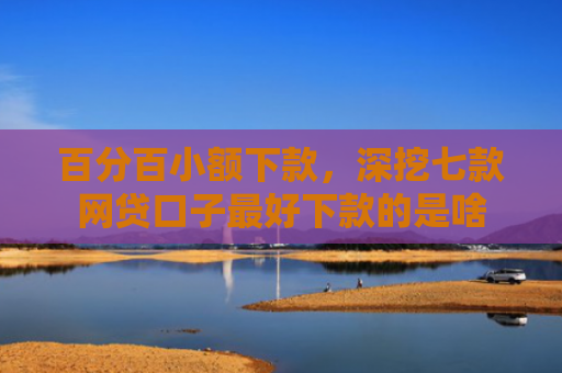 百分百小额下款，深挖七款网贷口子最好下款的是啥