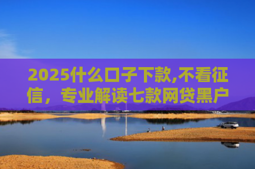 2025什么口子下款,不看征信，专业解读七款网贷黑户口子下款口子