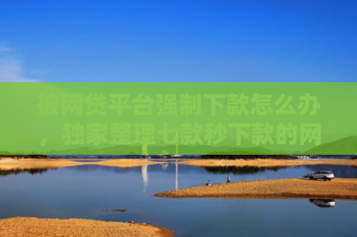 被网贷平台强制下款怎么办，独家整理七款秒下款的网贷口子叫什么