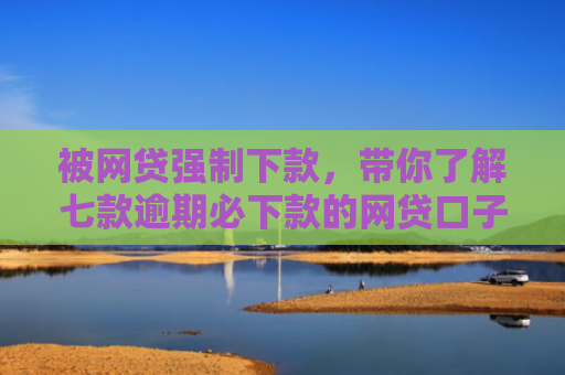 被网贷强制下款，带你了解七款逾期必下款的网贷口子2025