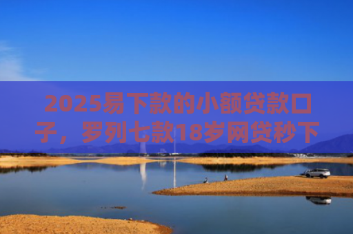 2025易下款的小额贷款口子，罗列七款18岁网贷秒下款口子