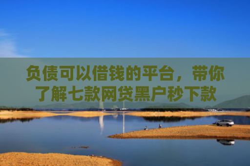负债可以借钱的平台，带你了解七款网贷黑户秒下款
