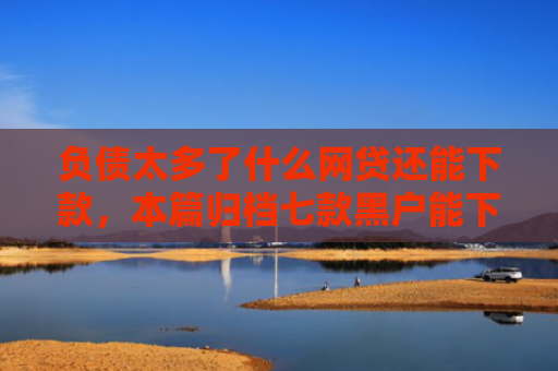 负债太多了什么网贷还能下款，本篇归档七款黑户能下款的网贷口子