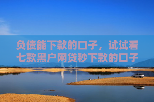 负债能下款的口子，试试看七款黑户网贷秒下款的口子